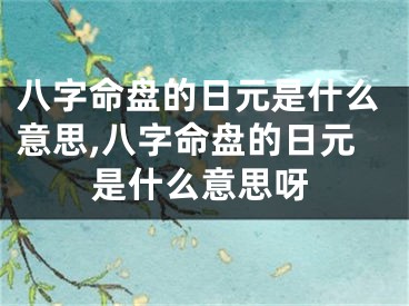 八字命盘的日元是什么意思,八字命盘的日元是什么意思呀