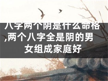 八字两个阴是什么命格,两个八字全是阴的男女组成家庭好