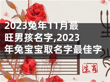 2023兔年11月最旺男孩名字,2023年兔宝宝取名字最佳字