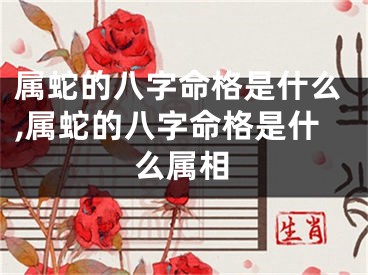 属蛇的八字命格是什么,属蛇的八字命格是什么属相