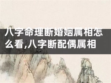 八字命理断婚姻属相怎么看,八字断配偶属相