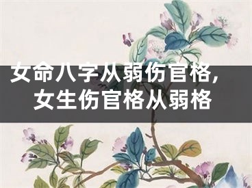 女命八字从弱伤官格,女生伤官格从弱格