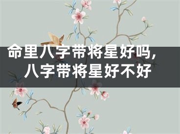 命里八字带将星好吗,八字带将星好不好