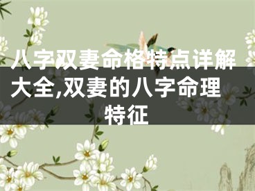 八字双妻命格特点详解大全,双妻的八字命理特征