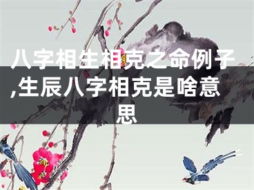 八字相生相克之命例子,生辰八字相克是啥意思