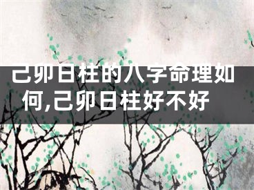 己卯日柱的八字命理如何,己卯日柱好不好