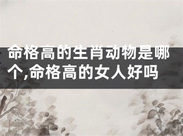 命格高的生肖动物是哪个,命格高的女人好吗