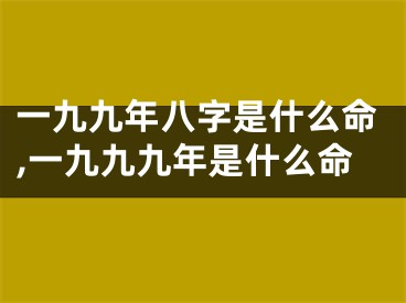 一九九年八字是什么命,一九九九年是什么命