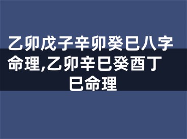 乙卯戊子辛卯癸巳八字命理,乙卯辛巳癸酉丁巳命理