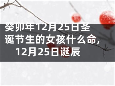 癸卯年12月25日圣诞节生的女孩什么命,12月25日诞辰