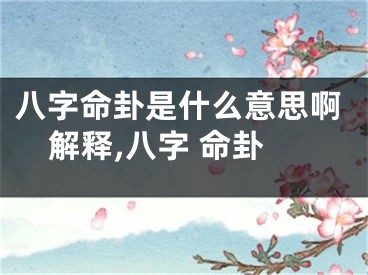 八字命卦是什么意思啊解释,八字 命卦