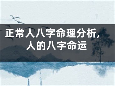 正常人八字命理分析,人的八字命运