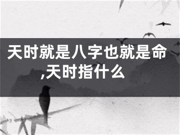 天时就是八字也就是命,天时指什么