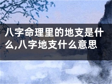 八字命理里的地支是什么,八字地支什么意思