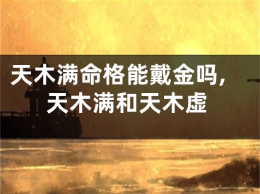 天木满命格能戴金吗,天木满和天木虚