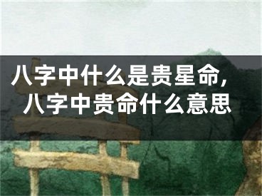 八字中什么是贵星命,八字中贵命什么意思