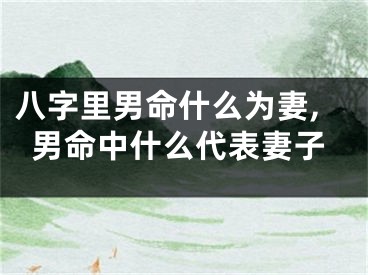 八字里男命什么为妻,男命中什么代表妻子