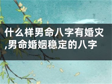 什么样男命八字有婚灾,男命婚姻稳定的八字