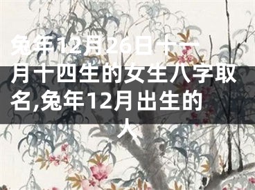 兔年12月26日十一月十四生的女生八字取名,兔年12月出生的人
