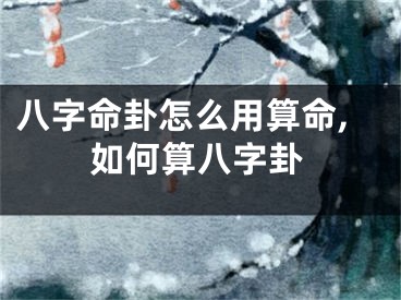 八字命卦怎么用算命,如何算八字卦