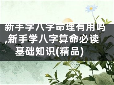新手学八字命理有用吗,新手学八字算命必读基础知识(精品)