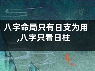 八字命局只有日支为用,八字只看日柱