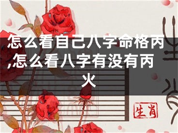 怎么看自己八字命格丙,怎么看八字有没有丙火