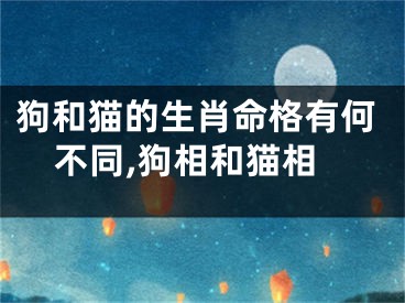 狗和猫的生肖命格有何不同,狗相和猫相