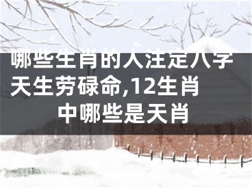 哪些生肖的人注定八字天生劳碌命,12生肖中哪些是天肖