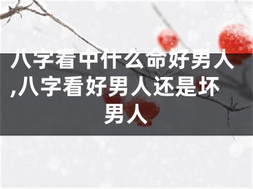 八字看中什么命好男人,八字看好男人还是坏男人