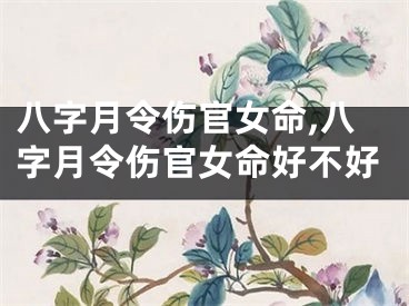 八字月令伤官女命,八字月令伤官女命好不好