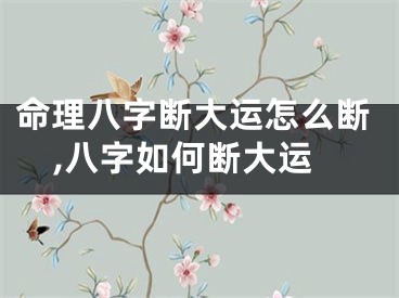 命理八字断大运怎么断,八字如何断大运