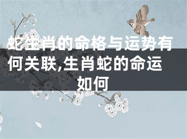 蛇生肖的命格与运势有何关联,生肖蛇的命运如何