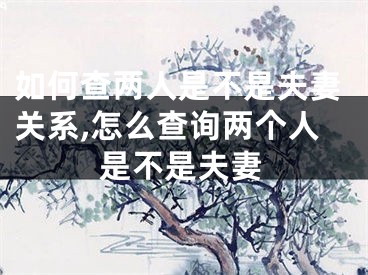 如何查两人是不是夫妻关系,怎么查询两个人是不是夫妻