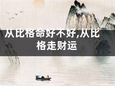 从比格命好不好,从比格走财运