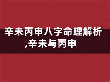 辛未丙申八字命理解析,辛未与丙申