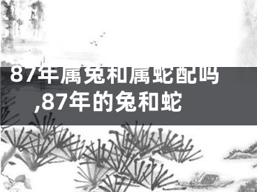 87年属兔和属蛇配吗,87年的兔和蛇