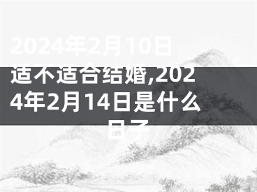 2024年2月10日适不适合结婚,2024年2月14日是什么日子