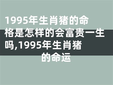 1995年生肖猪的命格是怎样的会富贵一生吗,1995年生肖猪的命运