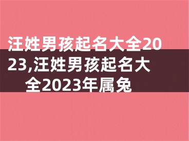 汪姓男孩起名大全2023,汪姓男孩起名大全2023年属兔
