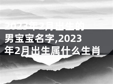 2023年2月出生的男宝宝名字,2023年2月出生属什么生肖