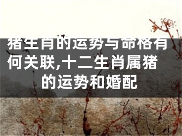 猪生肖的运势与命格有何关联,十二生肖属猪的运势和婚配