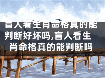 盲人看生肖命格真的能判断好坏吗,盲人看生肖命格真的能判断吗