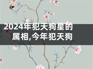 2024年犯天狗星的属相,今年犯天狗