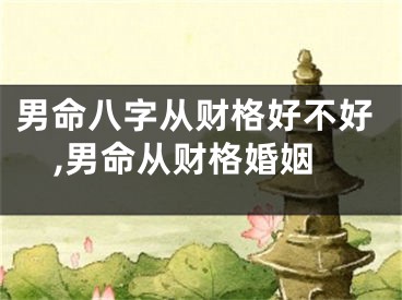 男命八字从财格好不好,男命从财格婚姻