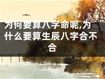 为何要算八字命呢,为什么要算生辰八字合不合