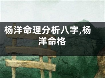 杨洋命理分析八字,杨洋命格