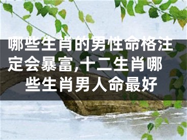 哪些生肖的男性命格注定会暴富,十二生肖哪些生肖男人命最好