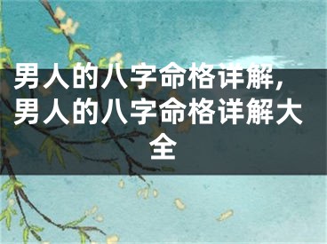 男人的八字命格详解,男人的八字命格详解大全