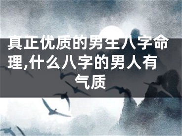 真正优质的男生八字命理,什么八字的男人有气质